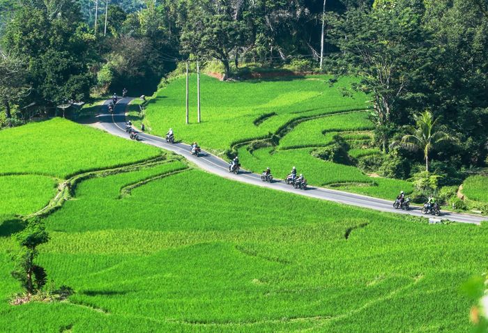 Salah satu spot cantik Jawa Barat, jalur melintasi sawah berbukit