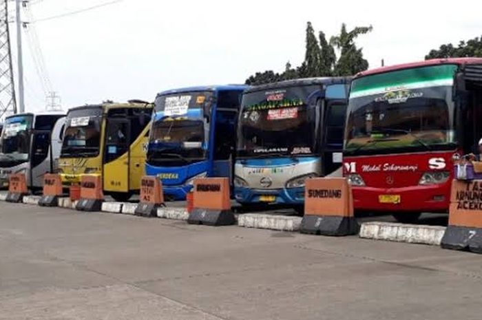 Ilustrasi. Deretan bus di Terminal Kampung Rambutan