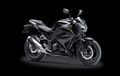 Makin Galak, Kawasaki Z250 Dapat Warna Baru, Tapi Malah Mirip Z300 Thailand