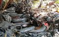 Bikin Nyesek! Puluhan Motor Dari Honda Astrea Sampai GL100 Dibiarin Kayak Sampah