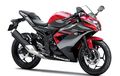 Ninja 250 SL Bekas Terjun Bebas, Cuma Ditawar Rp 20 Jutaan