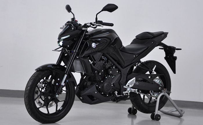 Yamaha MT-25 2020 