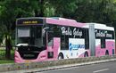 Warga Jakarta Siap-siap, Uang Rp 3.500 Tak Akan Cukup Lagi Buat Naik Bus TransJakarta