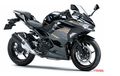 Kawasaki New Ninja 250 Punya Warna Baru, Yang Hijau Mirip Motor Pembalap WSBK