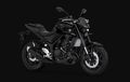 Yamaha MT-25 Bisa Dilirik, Pilihan Naked Sport 250 Cc, Dibanderol Rp 50 Jutaan