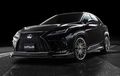 Wald Dandani Lexus RX F-Sport, Paras Auto Sporty, Disisipi Ornamen Krom