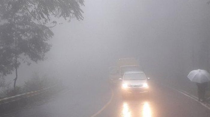 Kabut tebal menyelimuti kawasan Puncak Bogor