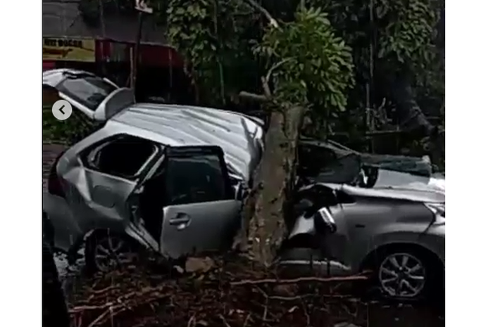 Toyota Avanza tertimpa pohon tumbang akibat angin puting beliung di Bogor