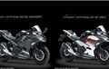 Kawasaki Ninja Rilis Dua Warna Baru, Varian Bertambah, Ini Pilihan Semua Warnanya