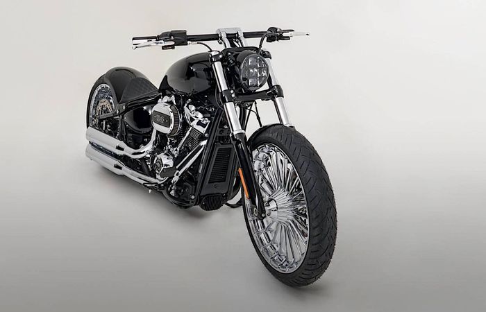 Harley-Davidson Bagheera pakai suspensi udara plus beberapa aksen krom