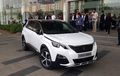 SUV Baru Peugeot 5008 Resmi Meluncur, Dibanderol Rp 820 Juta