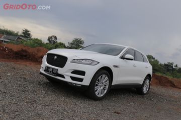 5500 Gambar Mobil Jaguar Kartun Gratis
