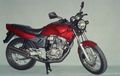 Honda Tiger 2000, Siapkan Uang Segini Kalau Serius Mau Meminang