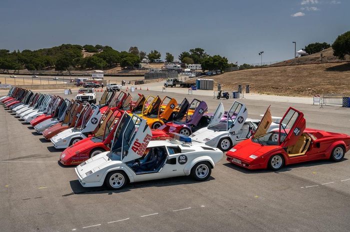 Puluhan Lamborghini Countach berjejer pada acara Countach Rally di Monterey, Amerika Serikat.
