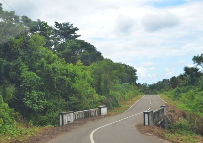 Salah satu jalan di jalur Pansela Jawa