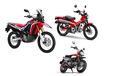 Dari Honda CT125, Supercub C125 hingga CRF250Rally, Ini Daftar dan Harga Motor CBU Honda, Termurah Rp 41 Jutaan