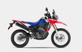 Pilihan Motor Adventure 2025, Kenali Keunggulan New CRF250 Series
