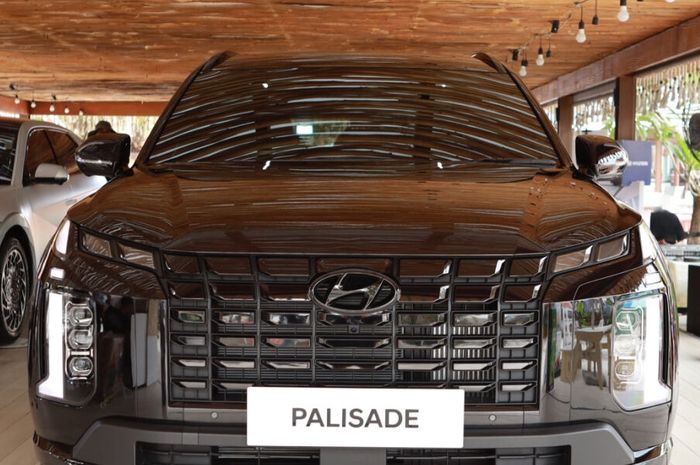 New PALISADE XRT