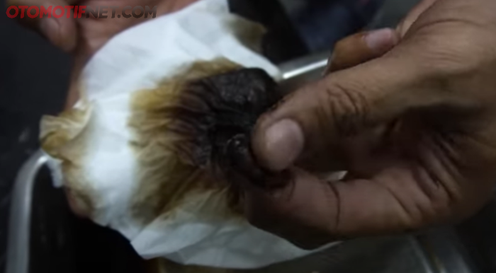 Hasil gurah ruang bakar saat disaring menggunakan kertas tisue, karbonnya terasa cukup tebal 