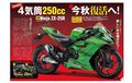 Kawasaki Ninja 250 Empat-Silinder Disebut Ada Dua Tipe, Versi Tertinggi Tembus 60 Dk!