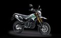 Harga Kawasaki D-Tracker Per 13 Februari 2020 Mulai Rp 33 Jutaan, Pilih Tipe Standar atau SE?