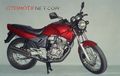 Klarifikasi Kontroversi Bore Up Tiger Hingga 270 cc