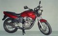 Biaya Restorasi Motor Honda Tiger Cuma Modal Segini, Bukan Kaleng-kaleng!