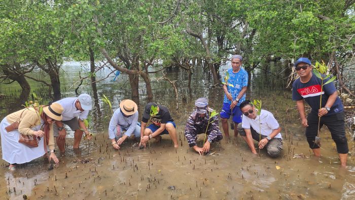 Kegiatan juga diisi dengan penanaman 100 pohon mangrove