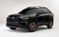 Toyota RAV4 Woodland Edition, Makin Macho dan Siap Off-road Prima