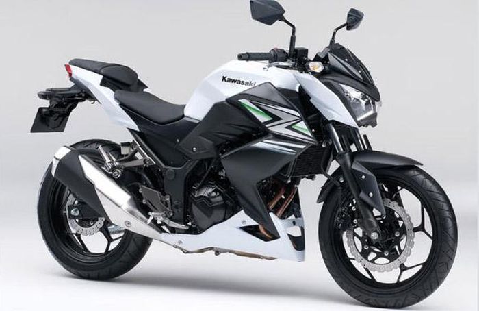 Kawasaki Z250 current version