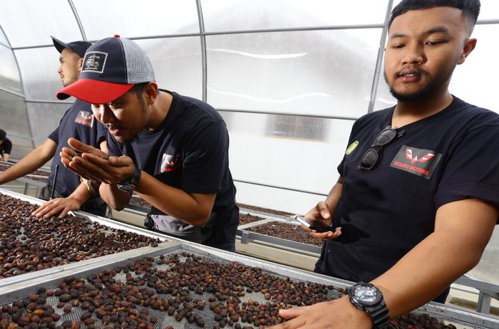 Mengenal Kopi Java Preanger Langsung Dari Tanah Priangan 