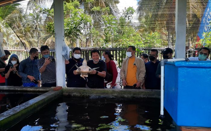 Peserta Media Test Drive Daihatsu All New Xenia menyempatkan diri melihat lokasi penangkaran penyu di kawasan Jogosimo 