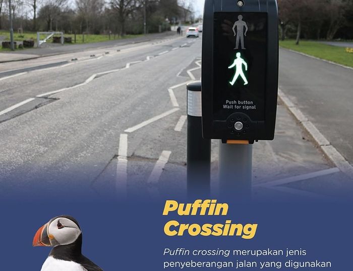 Puffin crossing